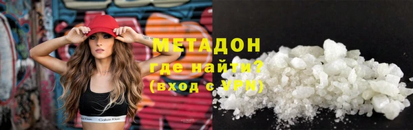 прущие грибы Наволоки