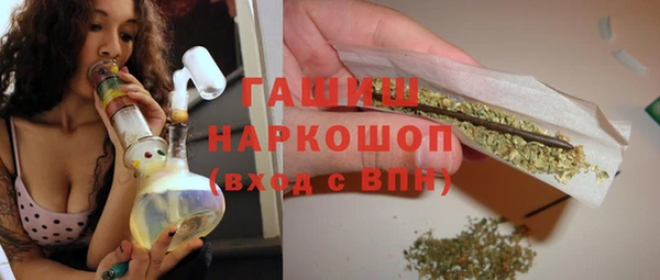 прущие грибы Наволоки