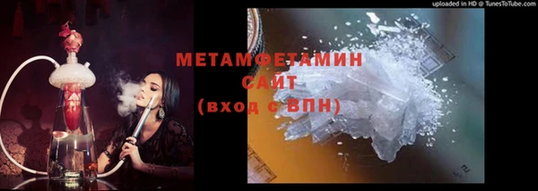 прущие грибы Наволоки