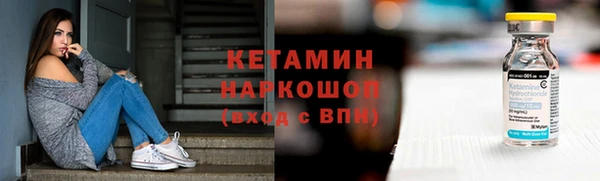 прущие грибы Наволоки