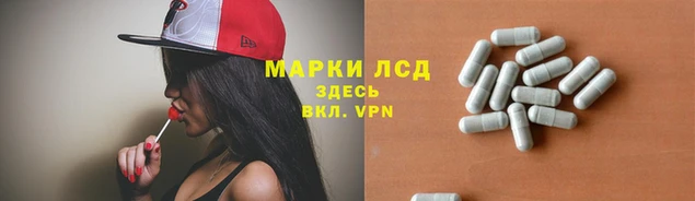 тгк Надым