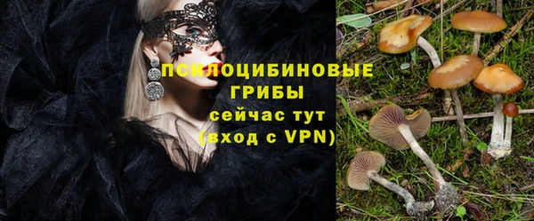 прущие грибы Наволоки