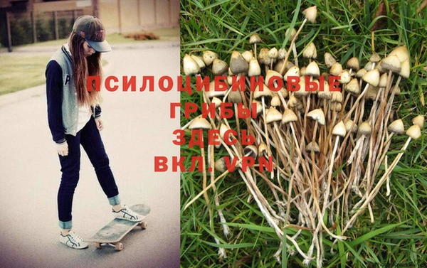 тгк Надым