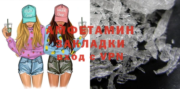 прущие грибы Наволоки