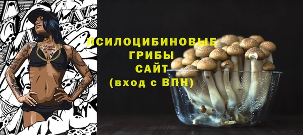 тгк Надым