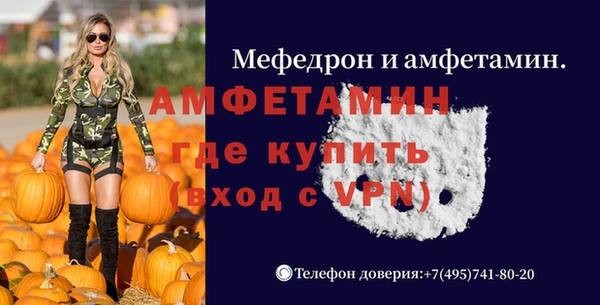 прущие грибы Наволоки