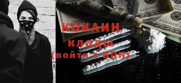 прущие грибы Наволоки