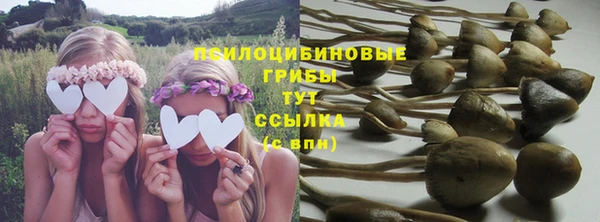 прущие грибы Наволоки