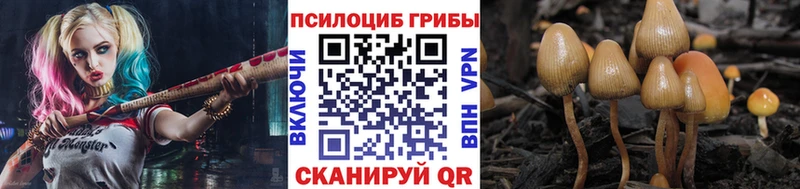 Галлюциногенные грибы Magic Shrooms  Рязань 